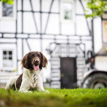 Дом отдыха Hof Koehne - Haus Waltons 3er *