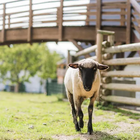 Дом отдыха Hof Koehne - Haus Waltons 3er *