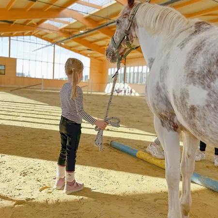 Hof Koehne - Haus Waltons 3er Шмалленберг