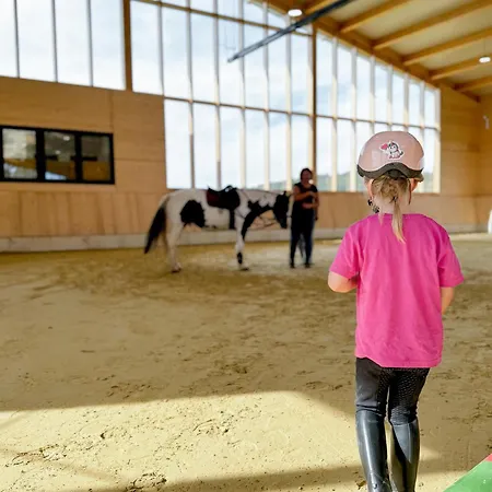 Дом отдыха Hof Koehne - Haus Waltons 3er Шмалленберг