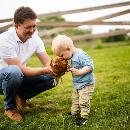 Дом отдыха Hof Koehne - Haus Waltons 3er *