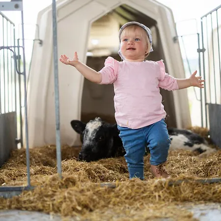 Hof Koehne - Haus Waltons 3er