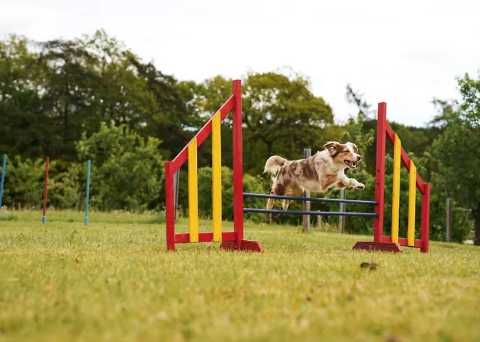 Hof Koehne - Haus Waltons 3er Schmallenberg