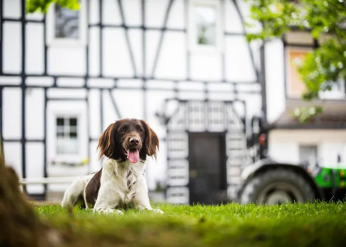 Vakantiehuis Hof Koehne - Haus Waltons 3er *