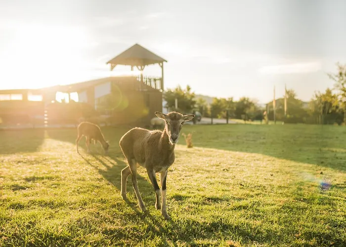 Vakantiehuis Hof Koehne - Haus Waltons 3er Schmallenberg
