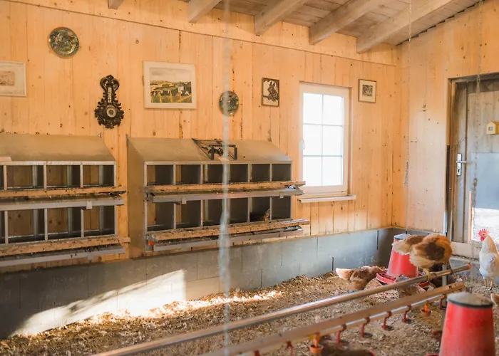 Hof Koehne - Haus Waltons 3er * Schmallenberg