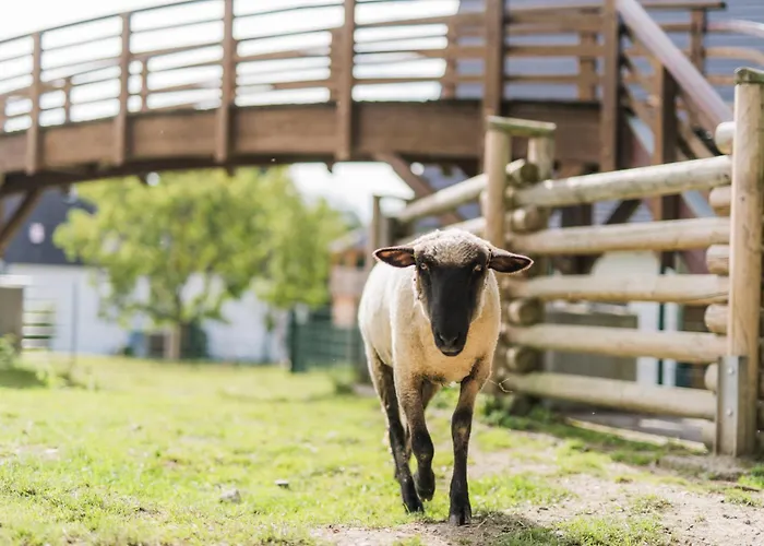 Vakantiehuis Hof Koehne - Haus Waltons 3er *